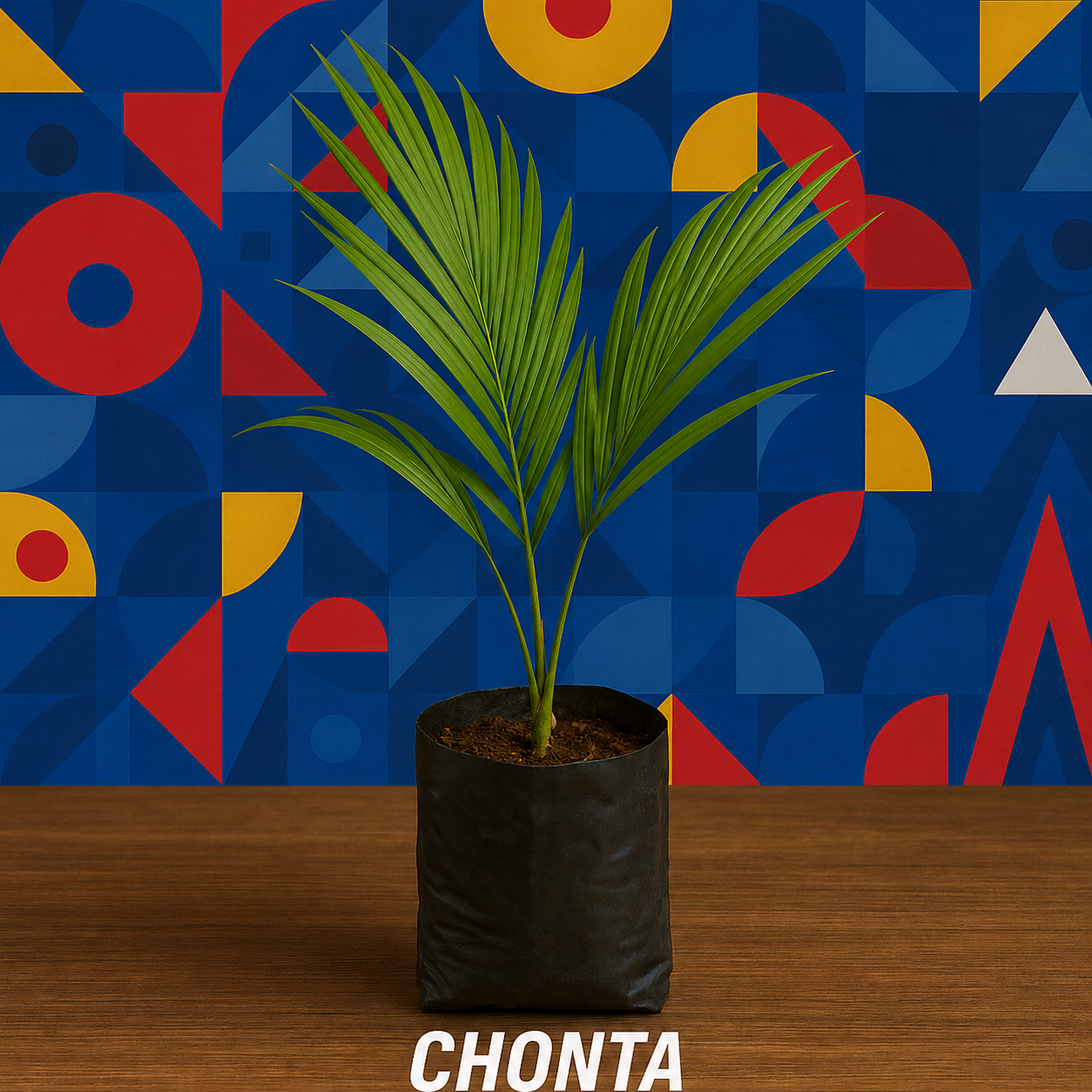 Chonta